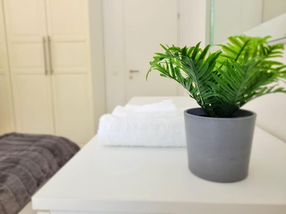 Apartment Palma - Central & Cozy With Free Private Parking Лугано Екстер'єр фото